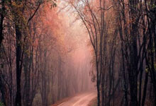 万博官网 -德甲单场：拜仁大胜十人门兴