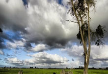 万博体育 -西甲(jiǎ)单场：皇马客勝(shèng)塞尔塔