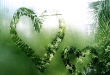 wanbo.com -襄阳高新(xīn)建(jiàn)立地理标志协同保護(hù)机制