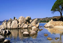 万博体育 -李强主持国务院第十八次专题学习