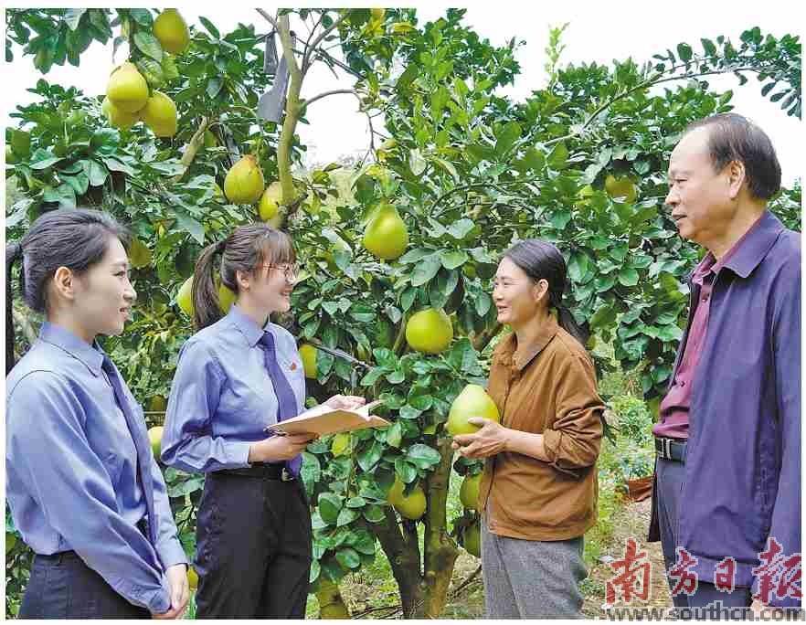 以法治之力擦亮地理标志“金名片”