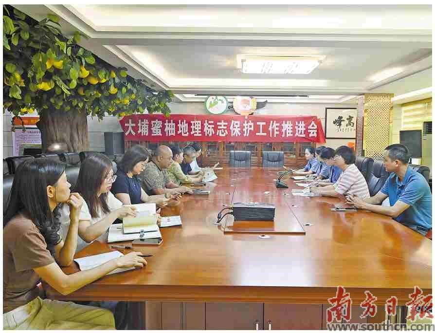 以法治之力擦亮地理标志“金名片”